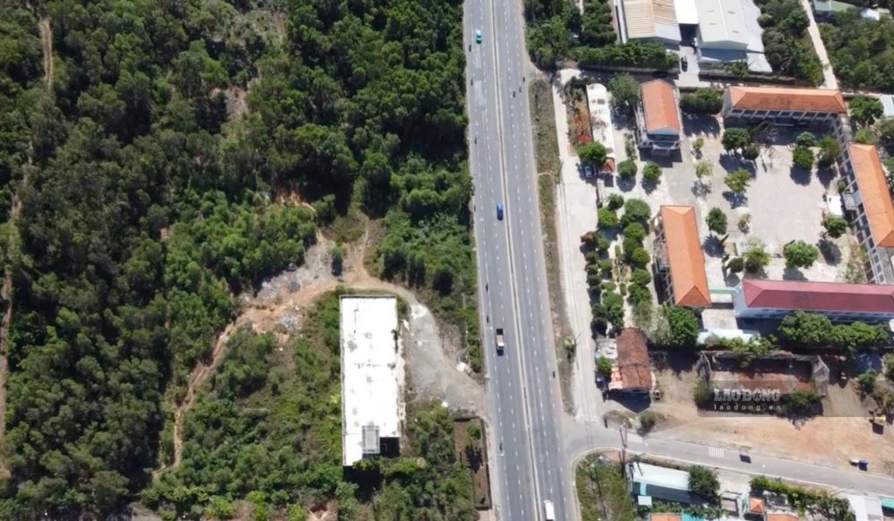 Part of the land on the left is currently urban residential land, but according to the new plan, it shows production forest land. Photo: Huu Long (taken in September 2026)