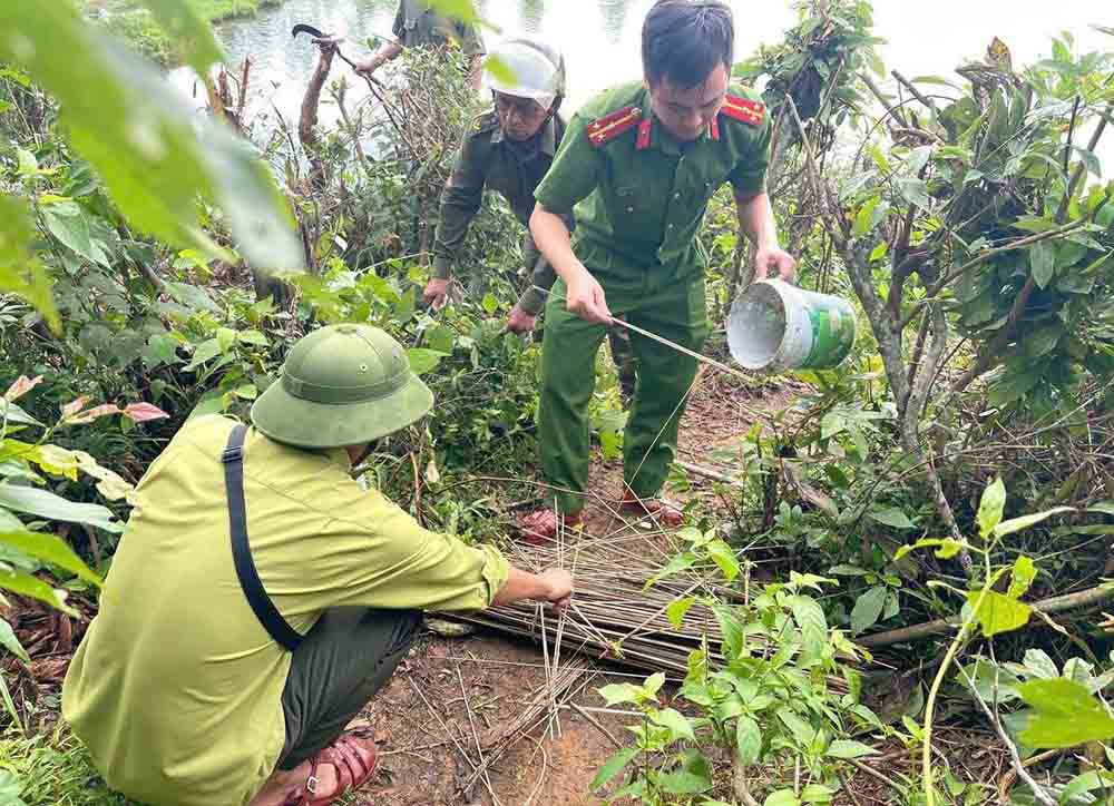 Thu gom dụng cụ bẫy chim trời ở xã Kỳ Xuân. Ảnh: Công an xã Kỳ Xuân