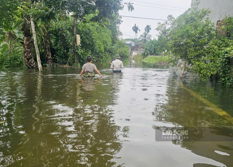 Rain and floods caused many households in Nong Cong commune, Thanh Hoa province to be deeply flooded. Photo: Quach Du (taken on September 19, 2026)