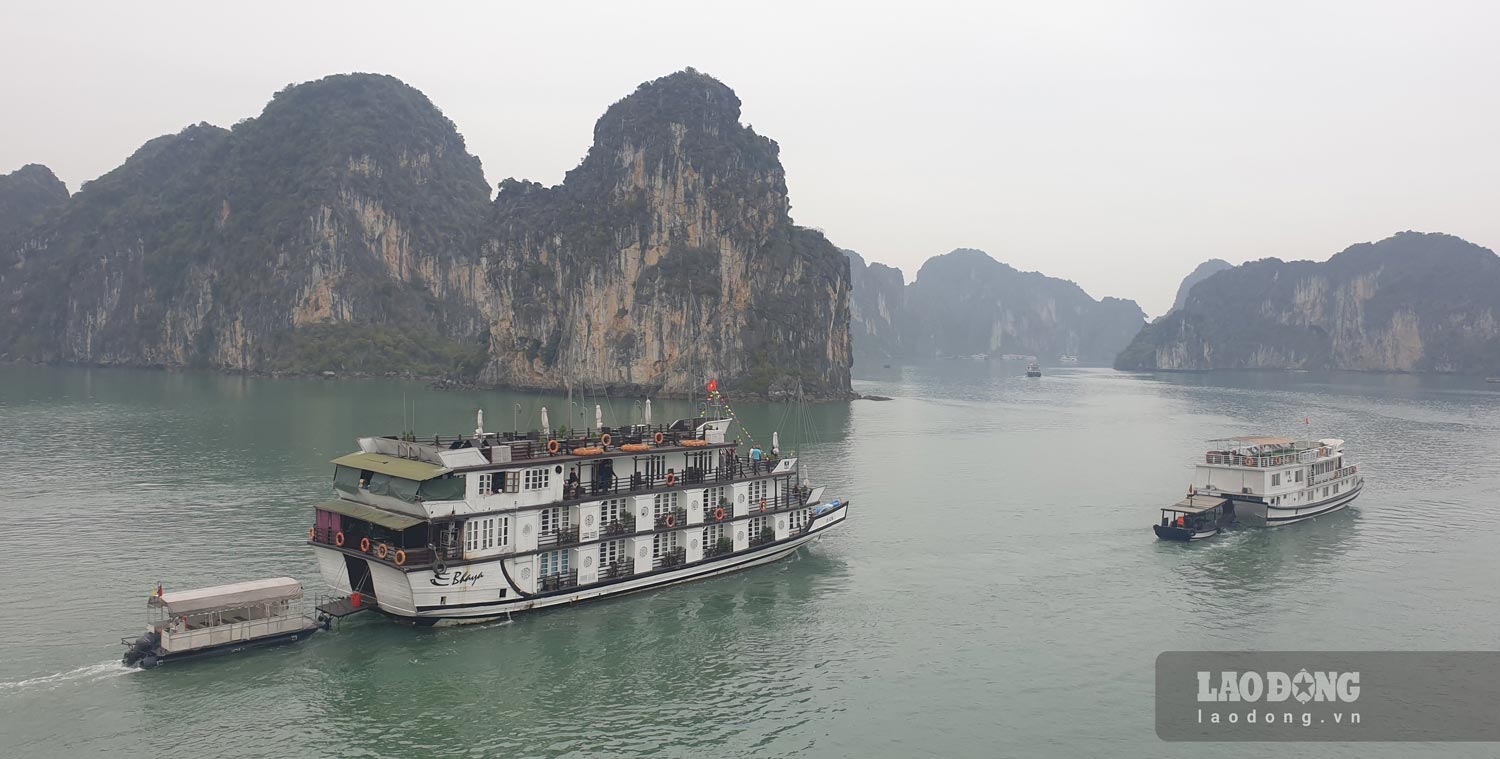 According to the Quang Ninh Tourism Association, cruise ships are not only a means of transporting tourists but must become a tourism product. Photo: Nguyen Hung