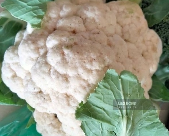 Broccoli is one of the vegetables that gout patients need to limit eating to avoid increasing uric acid. Photo: Kieu Vu.