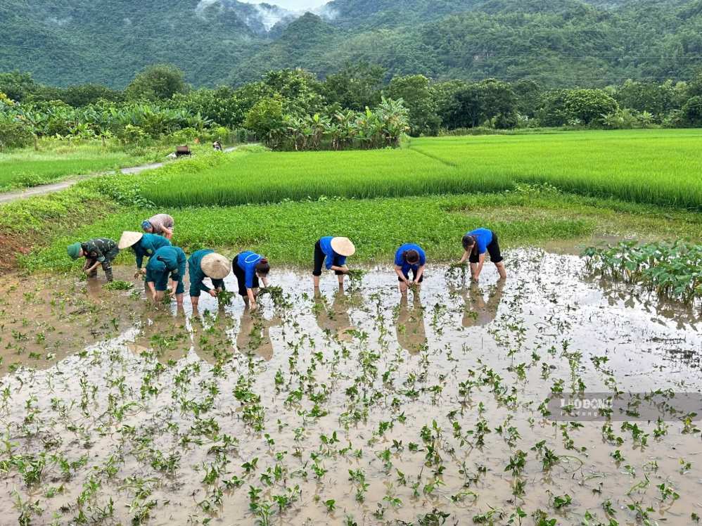 Theo Bí thư đoàn xã Mai Hạ, công việc giúp đỡ gia đình thương binh là một cách hưởng ứng ngày Quốc Khánh. Ảnh: Hà Hòa