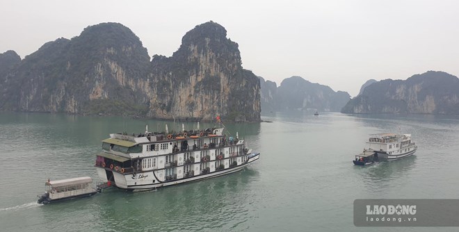 According to the Quang Ninh Tourism Association, cruise ships are not only a means of transporting tourists but must become a tourism product. Photo: Nguyen Hung