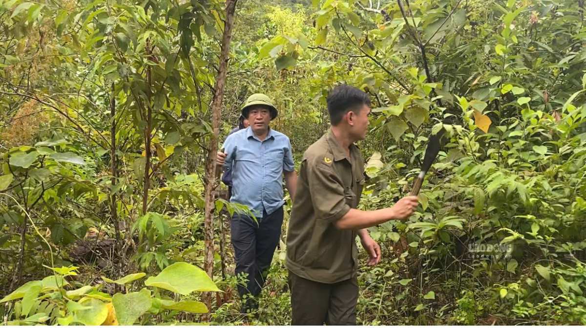 On September 20, functional forces of Yen Na commune, Nghe An province mobilized manpower to open temporary roads to access more than 300 households isolated due to landslides. Photo: Quang Dai
