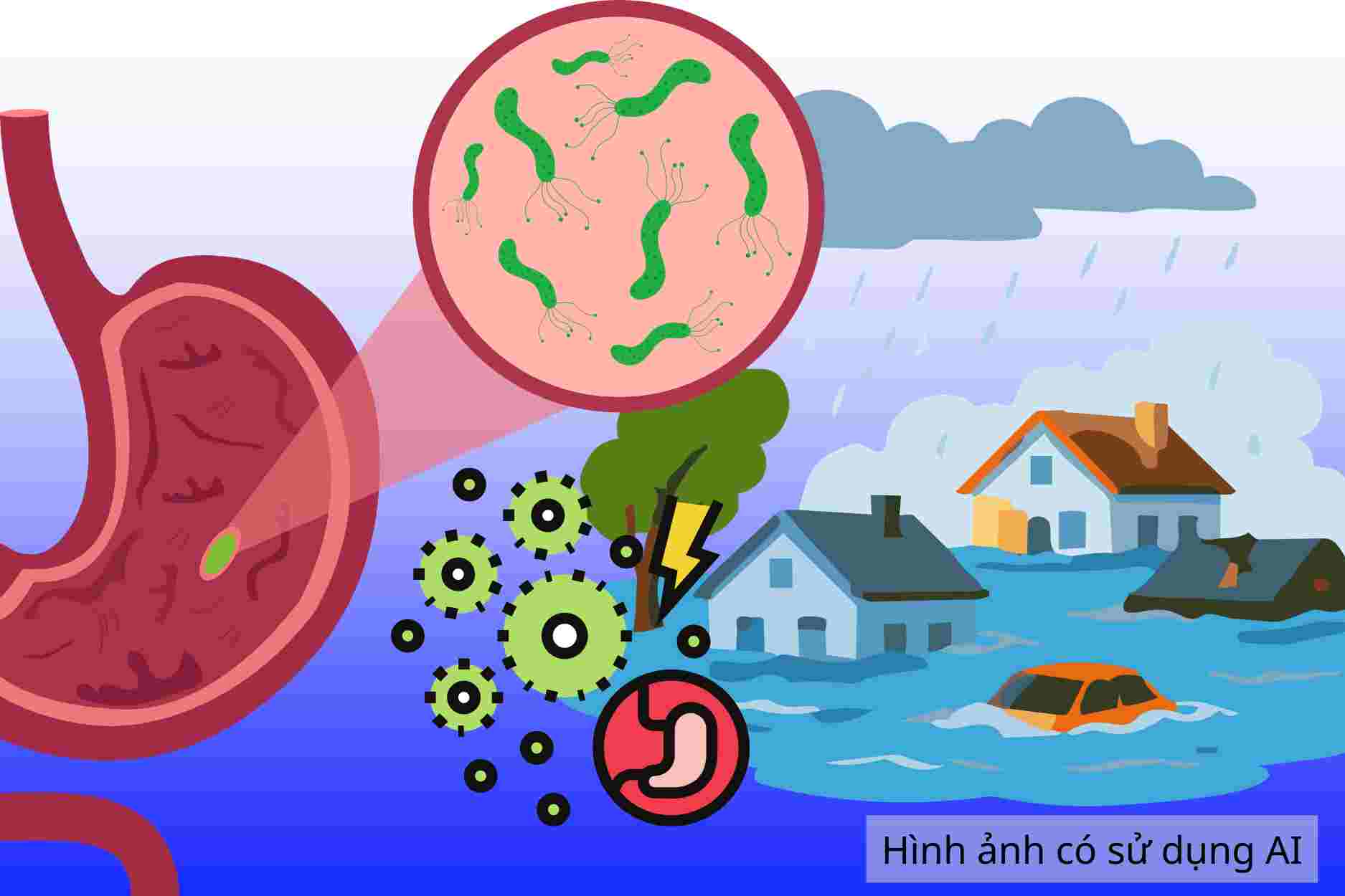 How to prevent digestive diseases after the rainy and flood season