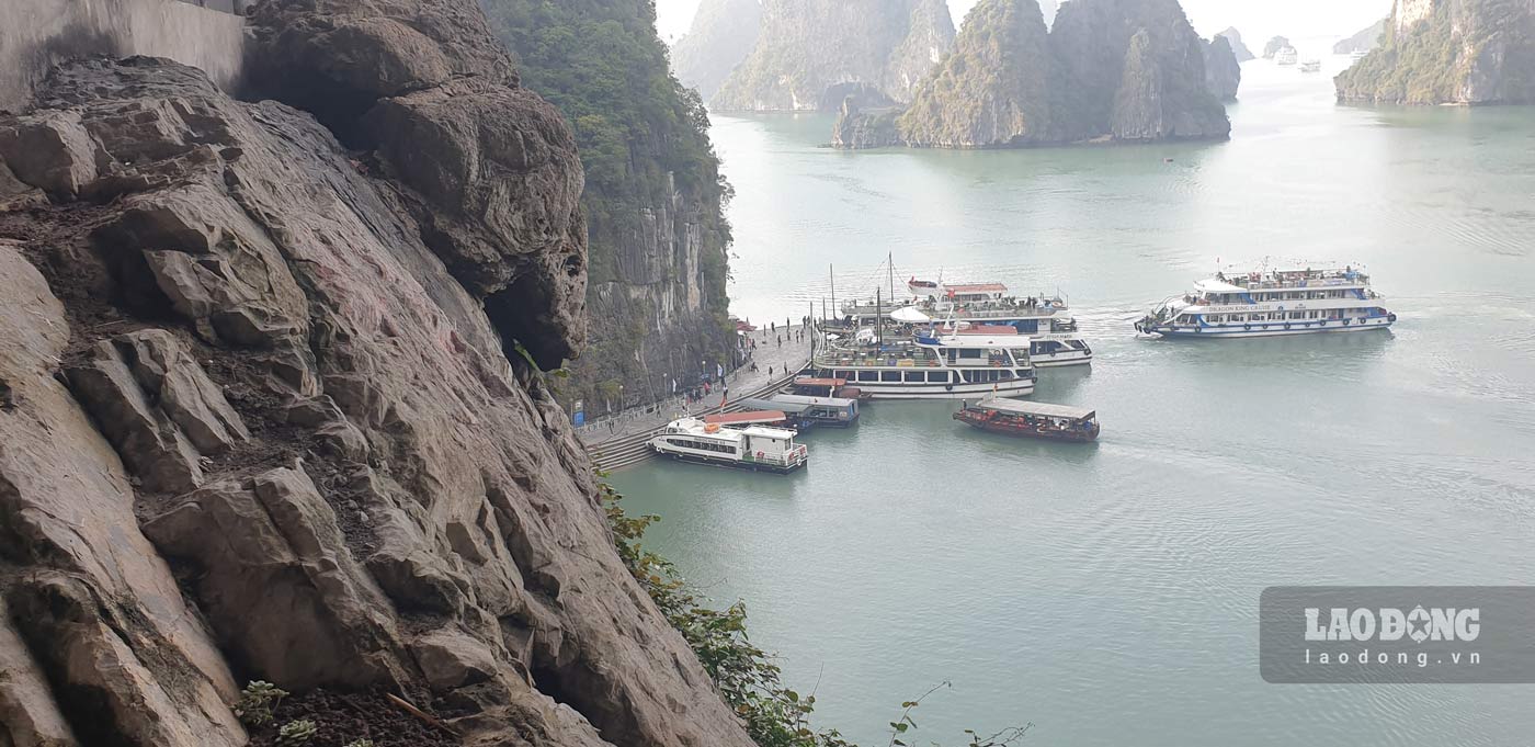 Ha Long Bay tourist fleet has over 500 ships, of which nearly 400 are operating. Photo: Nguyen Hung