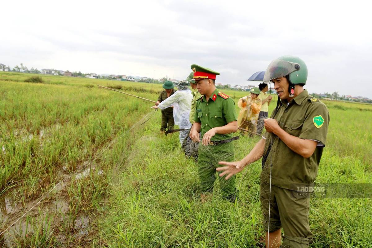 On September 20, functional forces of Hung Nguyen Nam commune inspected and dismantled nets and traps for catching wild birds in the area. Photo: Duy Chuong