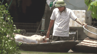 People are rushing to clean up their houses after many days of flooding. Photo: Quach Du