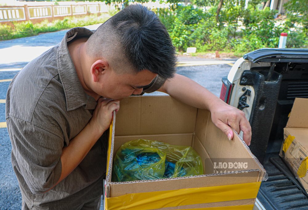 Anh Vũ chất từng thùng cá vừa được nướng lên thùng xe về quê làm quà biếu. Ảnh: Hưng Thơ