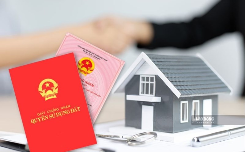 Principles for dividing land inheritance without a will. Photo: Nhu Ha