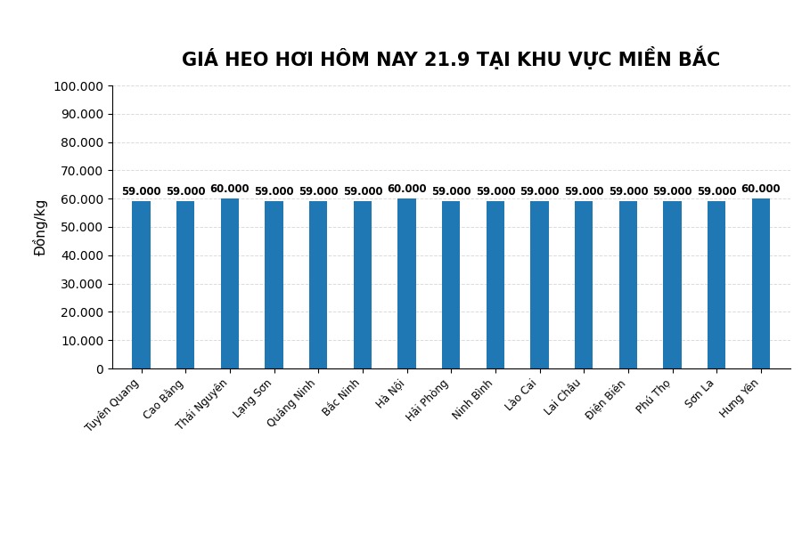 Giá heo hơi hôm nay ở miền Bắc. Đồ họa: AI
