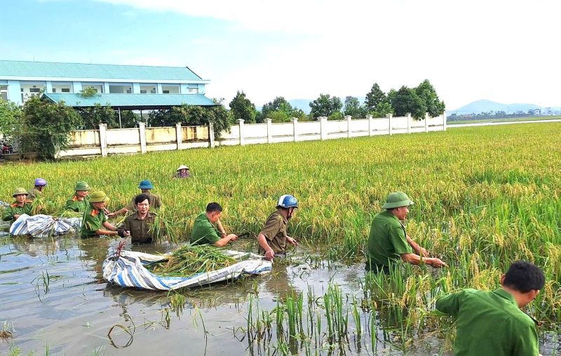 タインホア省ドンタインコミューン警察は、浸水した田んぼで住民の稲刈りを支援しています。写真:タインホア警察(2026年9月21日撮影)