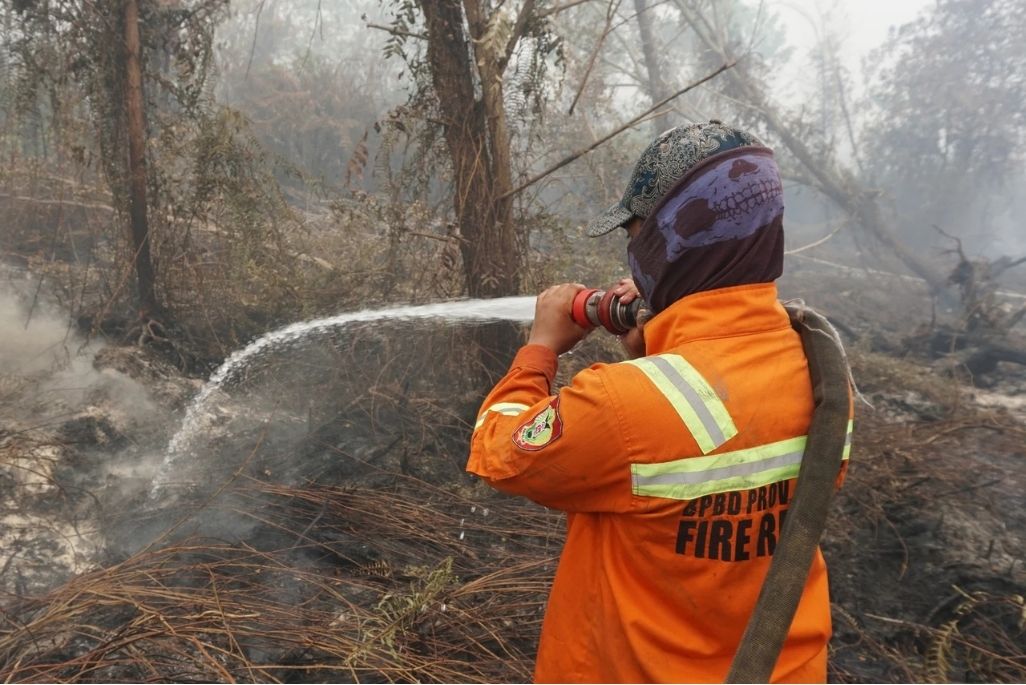 Firefighters make efforts to extinguish forest fires in the Central Kalimantan area, Indonesia on September 4. Photo: AFP