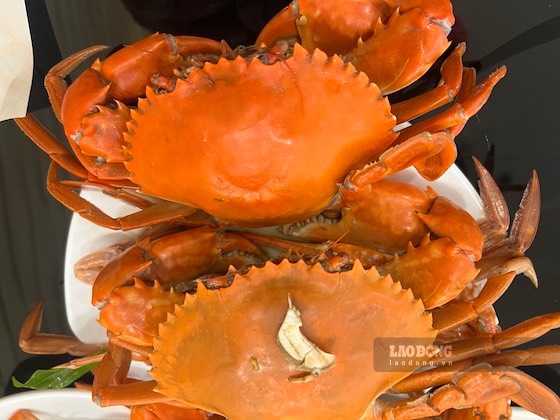 Seafood is one of the effective sources of vitamin B12. Photo: Kieu Vu