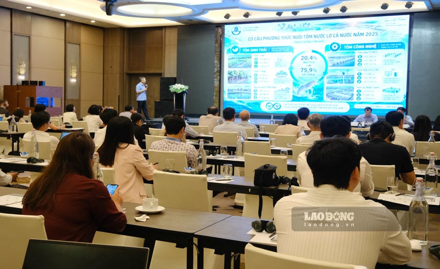 The Public-Private Partnership (PPP) forum to promote the circular economy of the shrimp industry in the Mekong Delta region was held in Can Tho City on September 21. Photo: My Ly