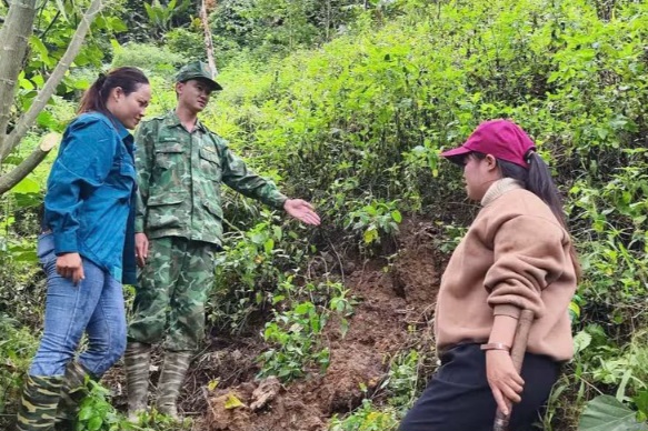Núi Pơrlai, xã biên giới Hùng Sơn, Đà Nẵng xuất hiện nhiều vết nứt. Ảnh: Đồn Biên phòng Gary