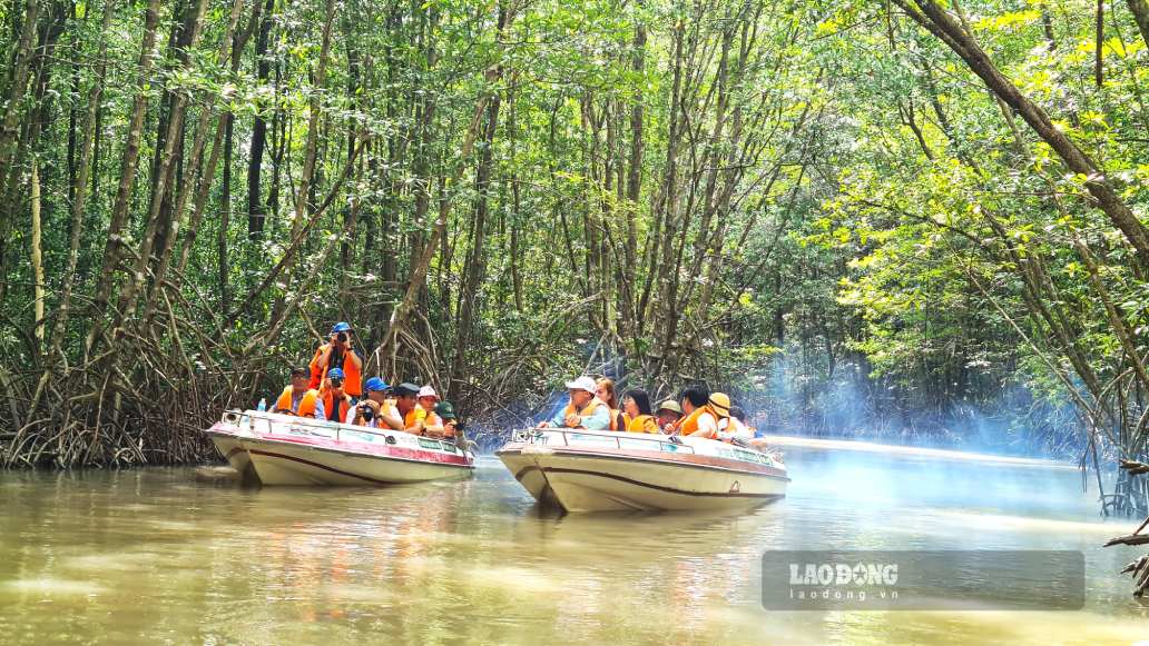 Rừng ngặp mặn Mui Cà Mau một nơi trải nghiệm thú vị cũng là nơi có phong cảnh đẹp cho những nhà làm phim (ảnh chụp năm tháng 12.2025). Ảnh: Nhật Hồ.
