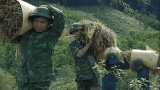 Hue City Border Guard soldiers help people in border areas harvest rice to avoid erratic weather. Photo: Hue Border Guard
