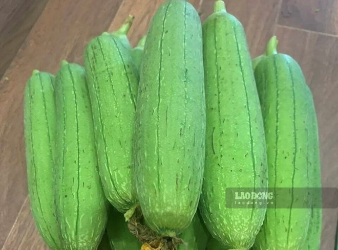 ヘチマとエビまたは赤身の肉のスープ、または茹でヘチマは、血圧と血糖値を保護するのに役立ちます。写真:キエウ・ヴー.