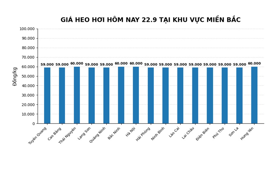 Giá heo hơi hôm nay ở miền Bắc. Đồ họa: AI