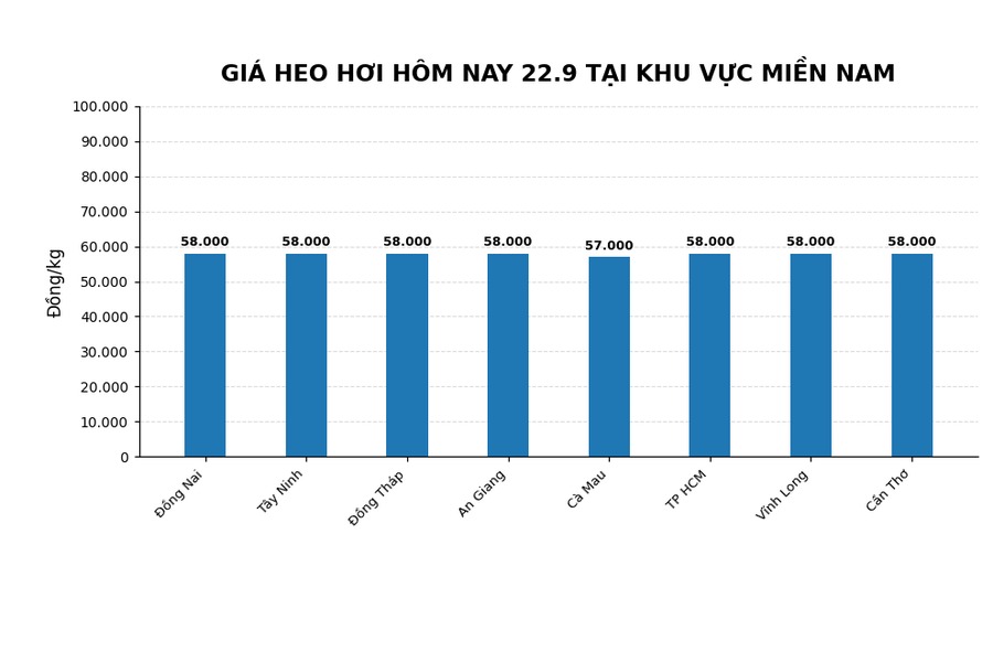 Giá heo hơi hôm nay ở miền Trung. Đồ họa: AI