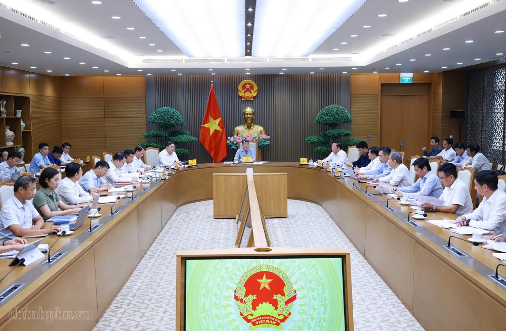 Các đại biểu tham dự cuộc họp. Ảnh: Chinhphu.vn