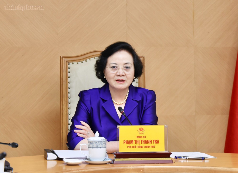 Secretary of the Party Central Committee, Deputy Prime Minister Pham Thi Thanh Tra works with the Ministry of Home Affairs on building a Project to reform salary and social insurance policies. Photo: chinhphu. vn