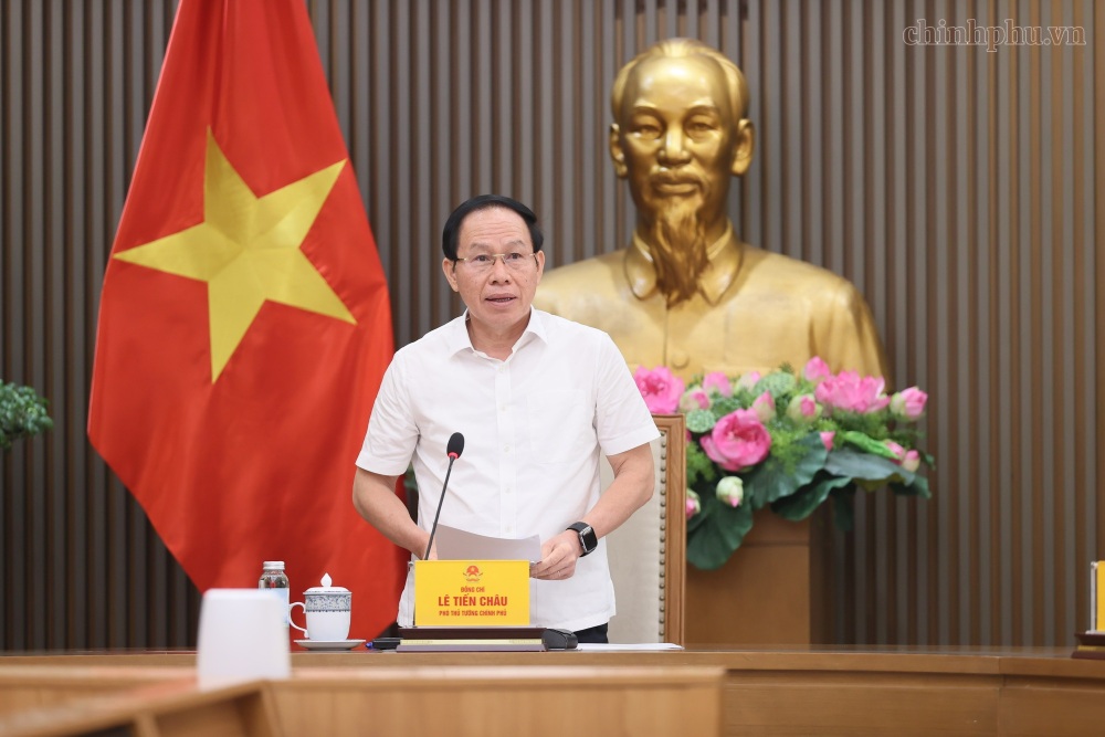 Member of the Party Central Committee, Deputy Prime Minister Le Tien Chau chaired a meeting on the situation and progress of implementing the arrangement of public vocational education institutions. Photo: chinhphu. vn