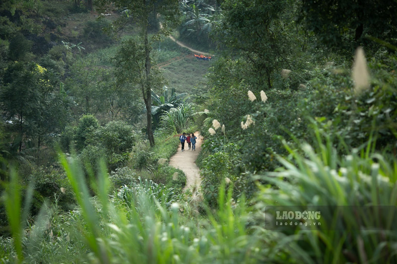 Many 10th grade students in Lai Chau are not going to school. Photo: Thanh An