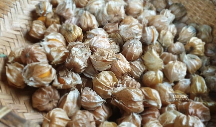 Ripe ambarella fruit has a characteristic sweet and sour taste, can be eaten directly or combined with spices to create an attractive snack at home. Photo: Thuy Duong (taken 2026)
