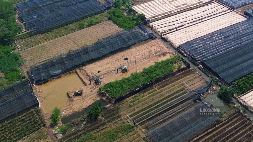 Người nông dân trông cậy vào cây hoa, cây rau để có thu nhập nên cả năm chỉ mong thời tiết thuận lợi, tránh những đợt mưa lớn gây ngập úng, làm mất công sức và chi phí đã bỏ ra.