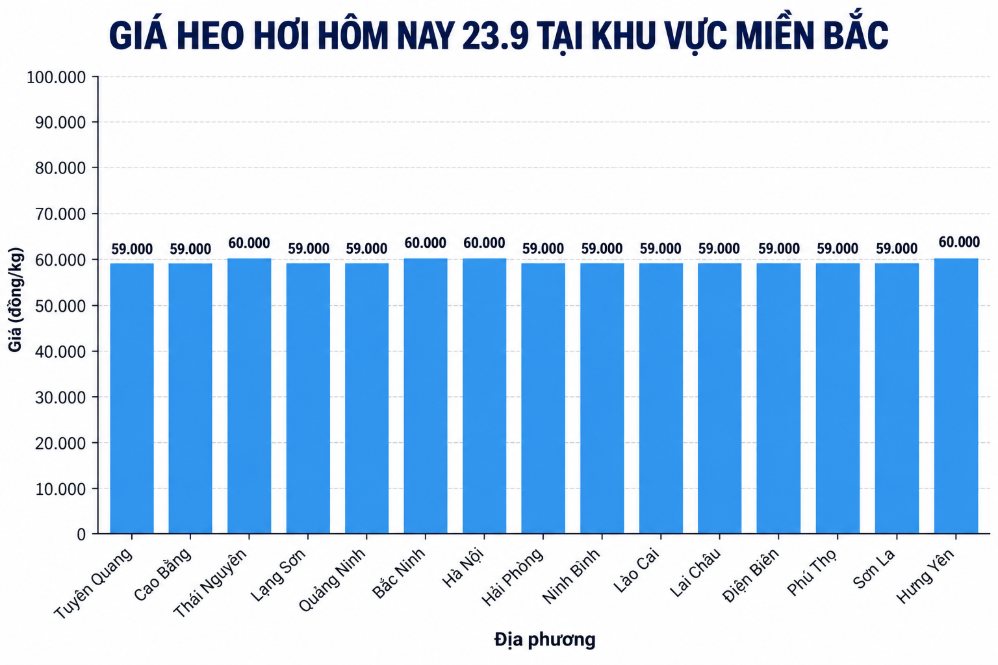 Giá heo hơi hôm nay ở miền Bắc. Đồ họa: AI