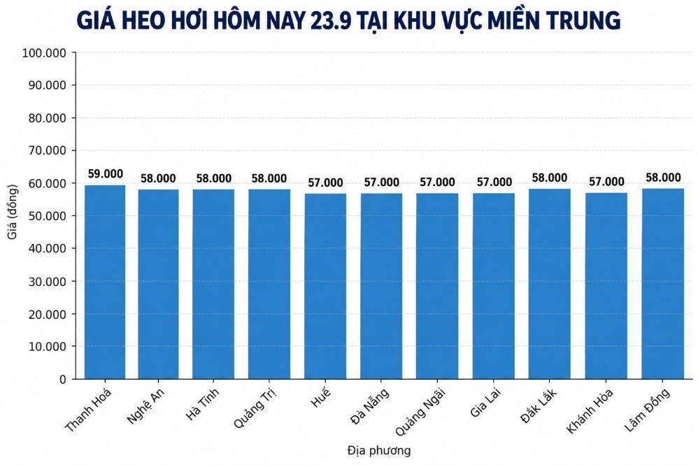 Giá heo hơi hôm nay ở miền Trung. Đồ họa: AI