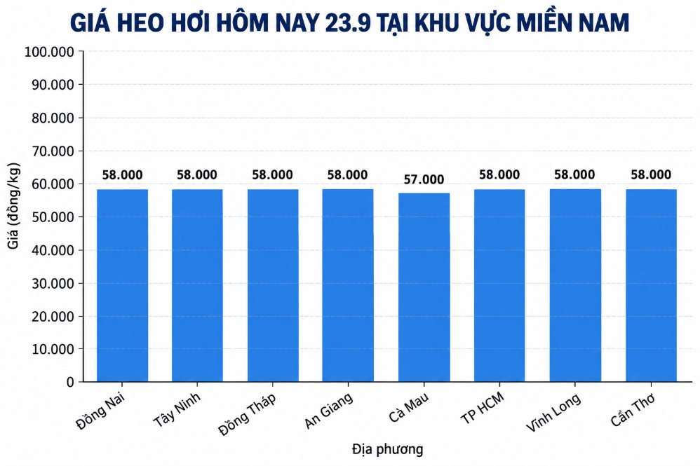 Giá heo hơi hôm nay ở miền Nam. Đồ họa: AI