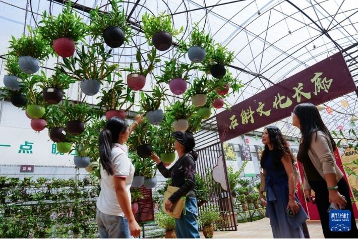 Các sản phẩm trà đặc sản và dược liệu quý của địa phương được đầu tư mở rộng, tạo đòn bẩy thúc đẩy kinh tế nông thôn tại Vân Nam, Trung Quốc. Ảnh: Xinhua phát ngày 23.9