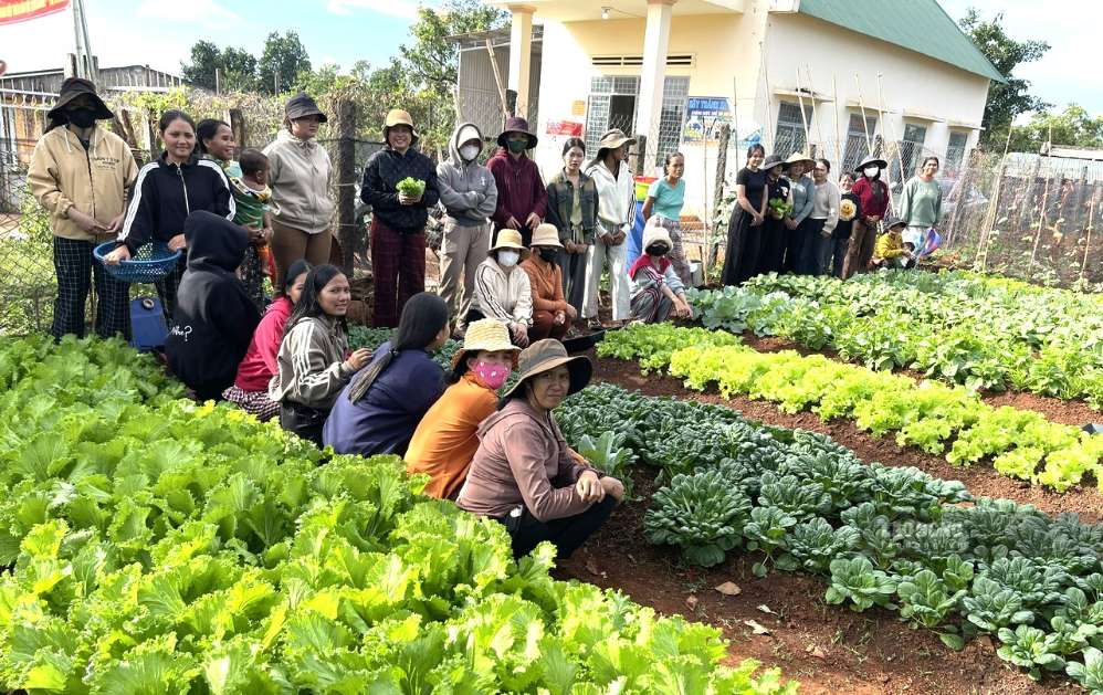 Workers in Duc Co commune are trained in vocational skills and learn to grow clean and safe vegetables. Photo: Mai Vu