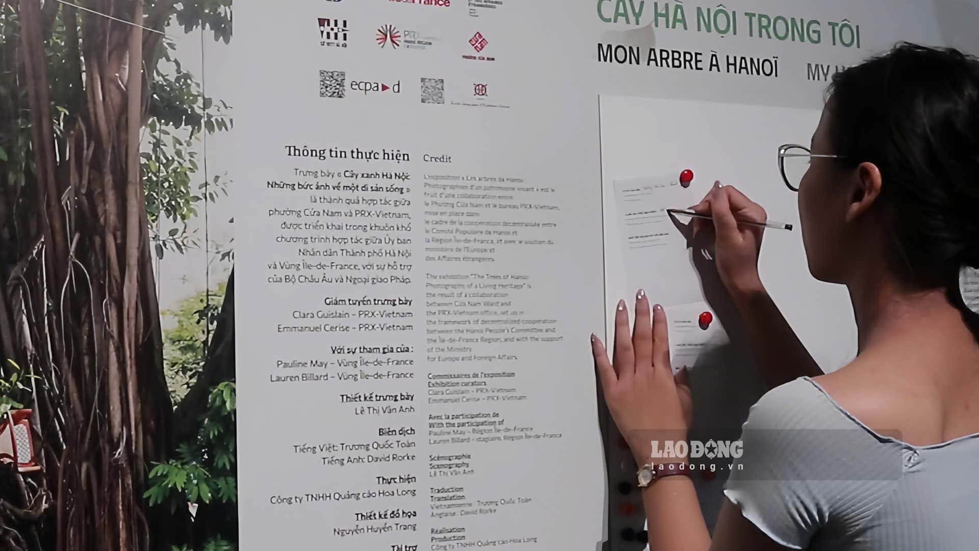 The exhibition "Hanoi Trees - Photos of a living heritage" helps young people better understand the environment and urban memories. Photo: Nguyen Trang (photo taken on September 22nd)