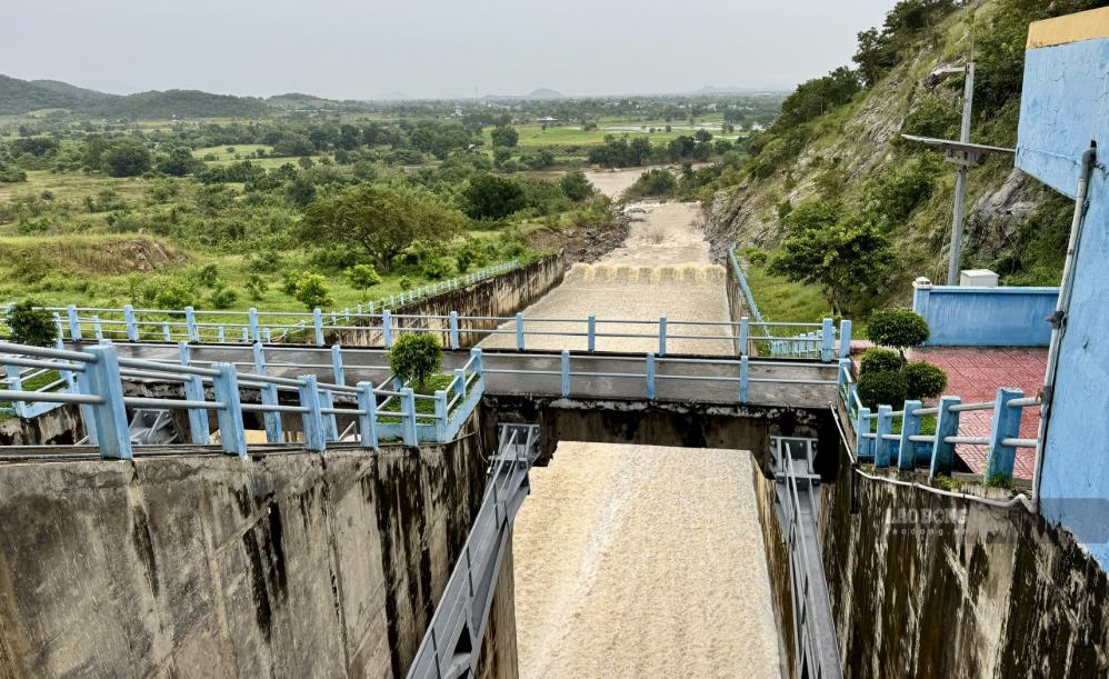 Location of the spillway of Song Quao Lake during a water regulation operation. Photo: Duy Tuan, taken in November 2025.