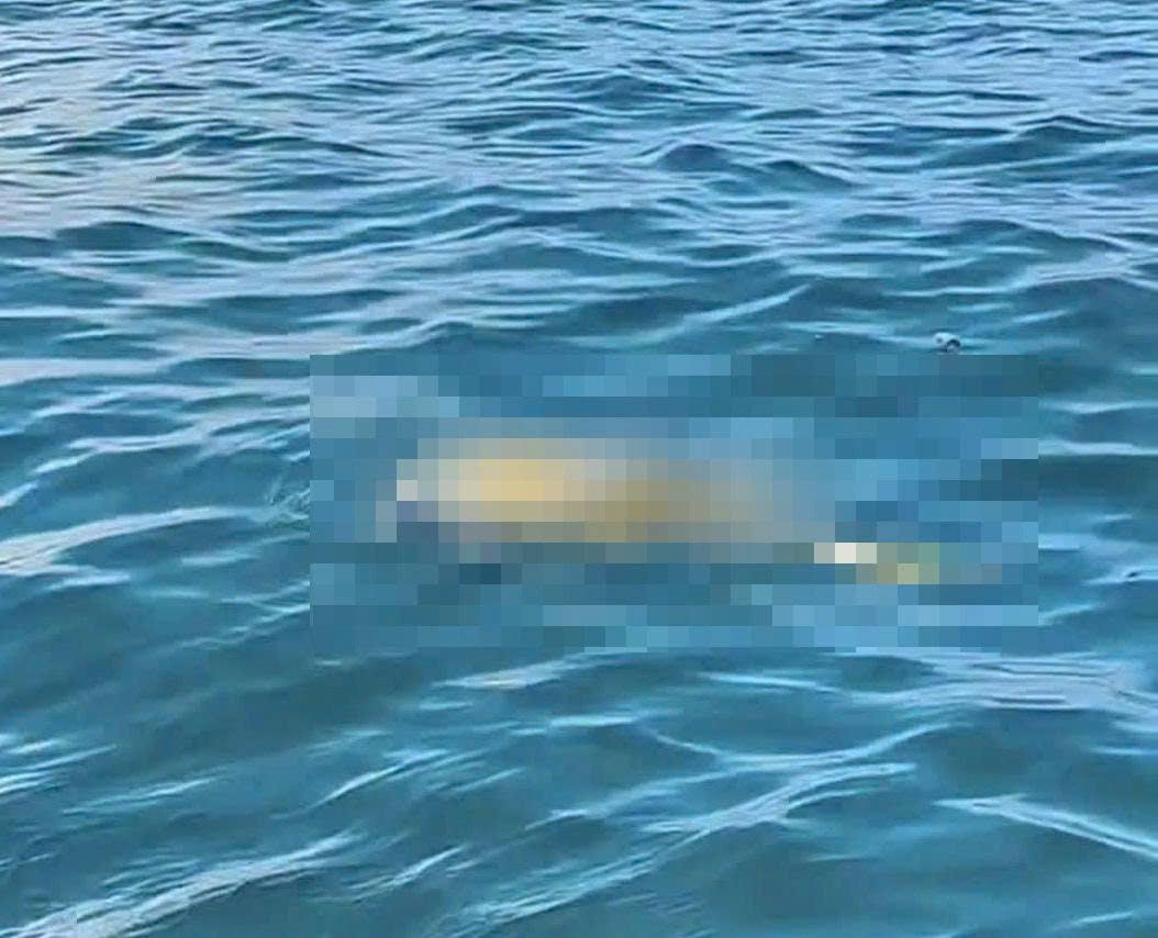 Police are verifying the identity of the male body drifting at sea in the area of Phuoc Dinh commune, Khanh Hoa, discovered by fishermen on the afternoon of September 21. Photo: Phuoc Dinh Commune Police