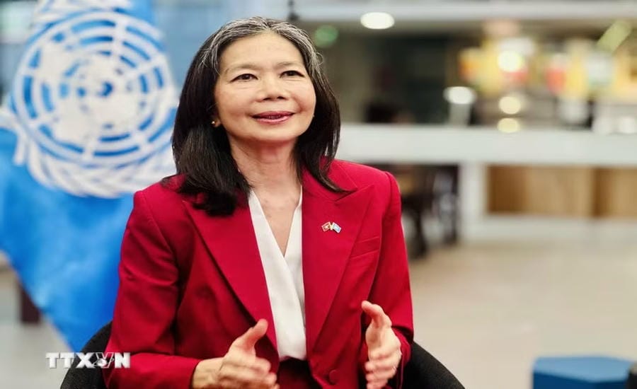 United Nations Resident Coordinator in Vietnam Pauline Tamesis answers an interview with a VNA reporter. Photo: VNA
