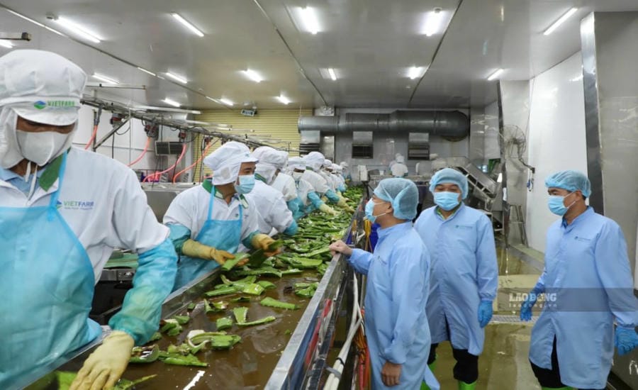 Leaders of the Khanh Hoa Provincial Labor Federation listen to workers share work at the factory. Photo: Phuong Linh