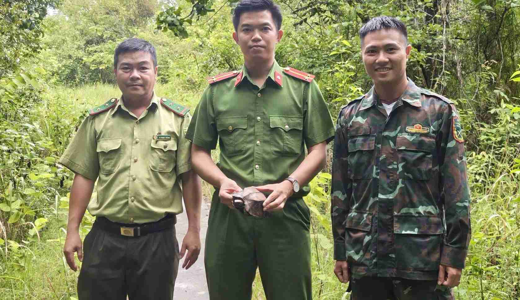Functional agencies of Dak Lak province just released a rare Sa human turtle back to its natural environment in September 2026. Photo: M'Drak Commune Police