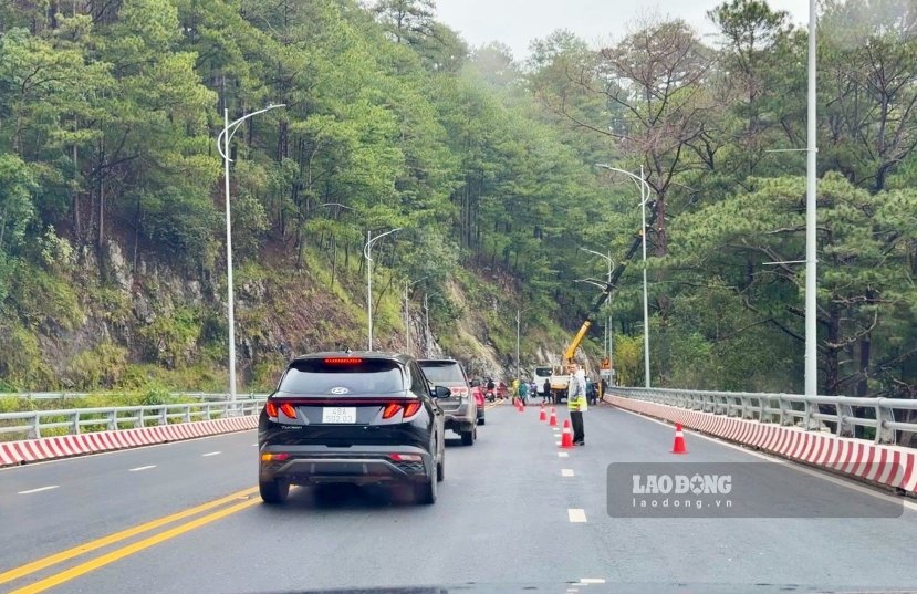 Lực lượng chức năng điều tiết bảo đảm an toàn giao thông trong quá trình đốn hạ cây thông có nguy cơ gãy đổ vào ngày 24.9. Ảnh: Phúc Khánh 