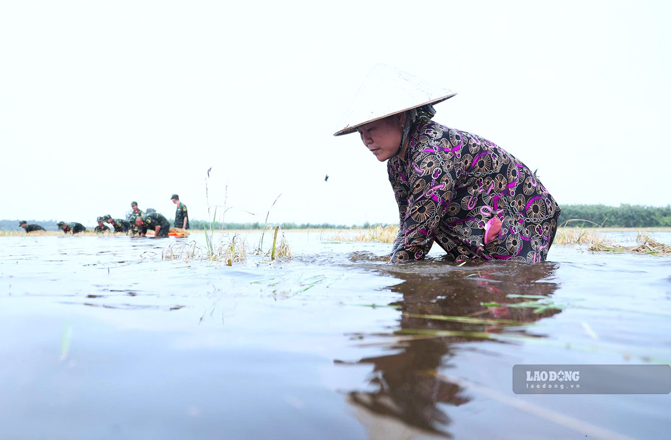 Trước mưa lớn, Tây Ninh kích hoạt phương án ứng phó từ sớm. Ảnh: Huỳnh Du chụp ngày 14.9