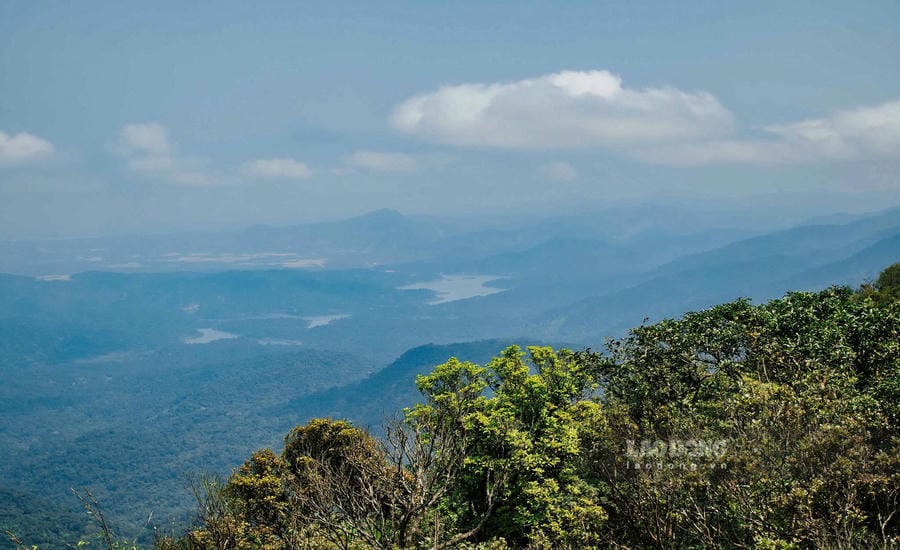 From carbon money to green transformation journey in Quang Tri