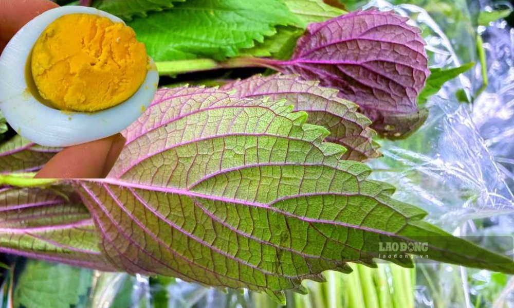 3 ways to eat eggs and perilla leaves to support heart health protection