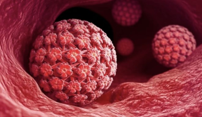 Cách giúp cơ thể kiểm soát HPV và phòng ngừa tái nhiễm hiệu quả