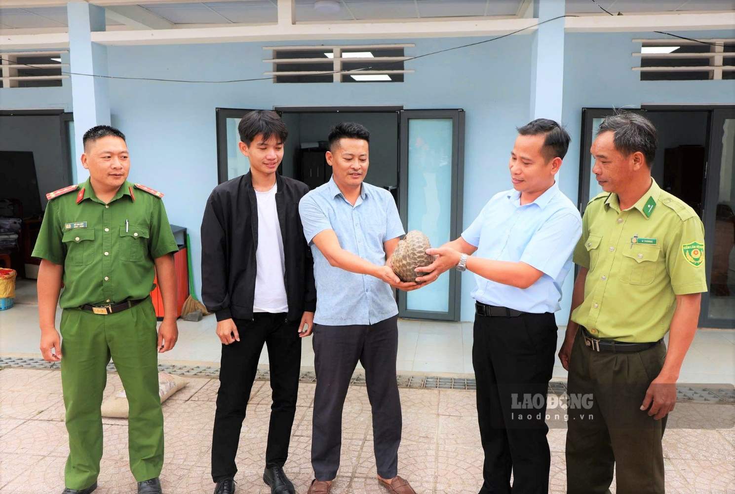 Người dân Lâm Đồng tự nguyện giao nộp động vật hoang dã cho cơ quan chức năng thả về tự nhiên. Ảnh: Phúc Khánh