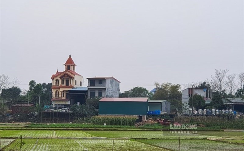 The Ministry of Agriculture and Environment guides how to handle cases where the red book records LNK land but is actually used as residential land. Photo: Phan Anh