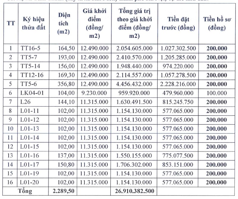 Ảnh: Công ty Đấu giá hợp danh Lạc Việt